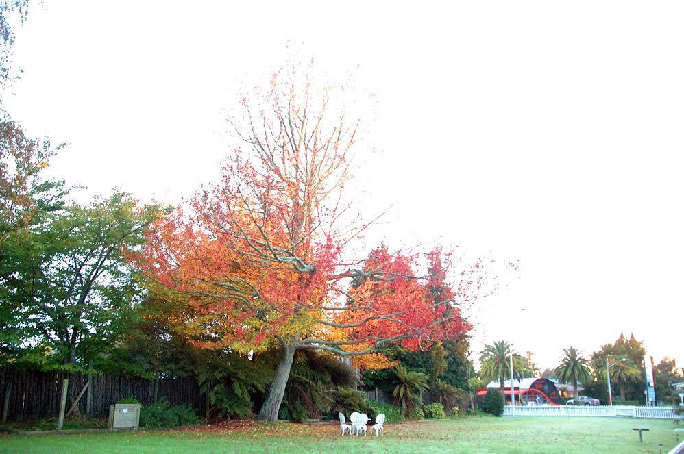 Fairy Springs Motel Distretto di Distretto di Rotorua Esterno foto